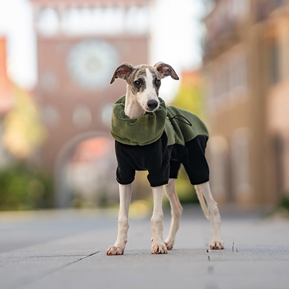 Azura | Full Protection Polar Fleece Dog Overall with Removable Collar