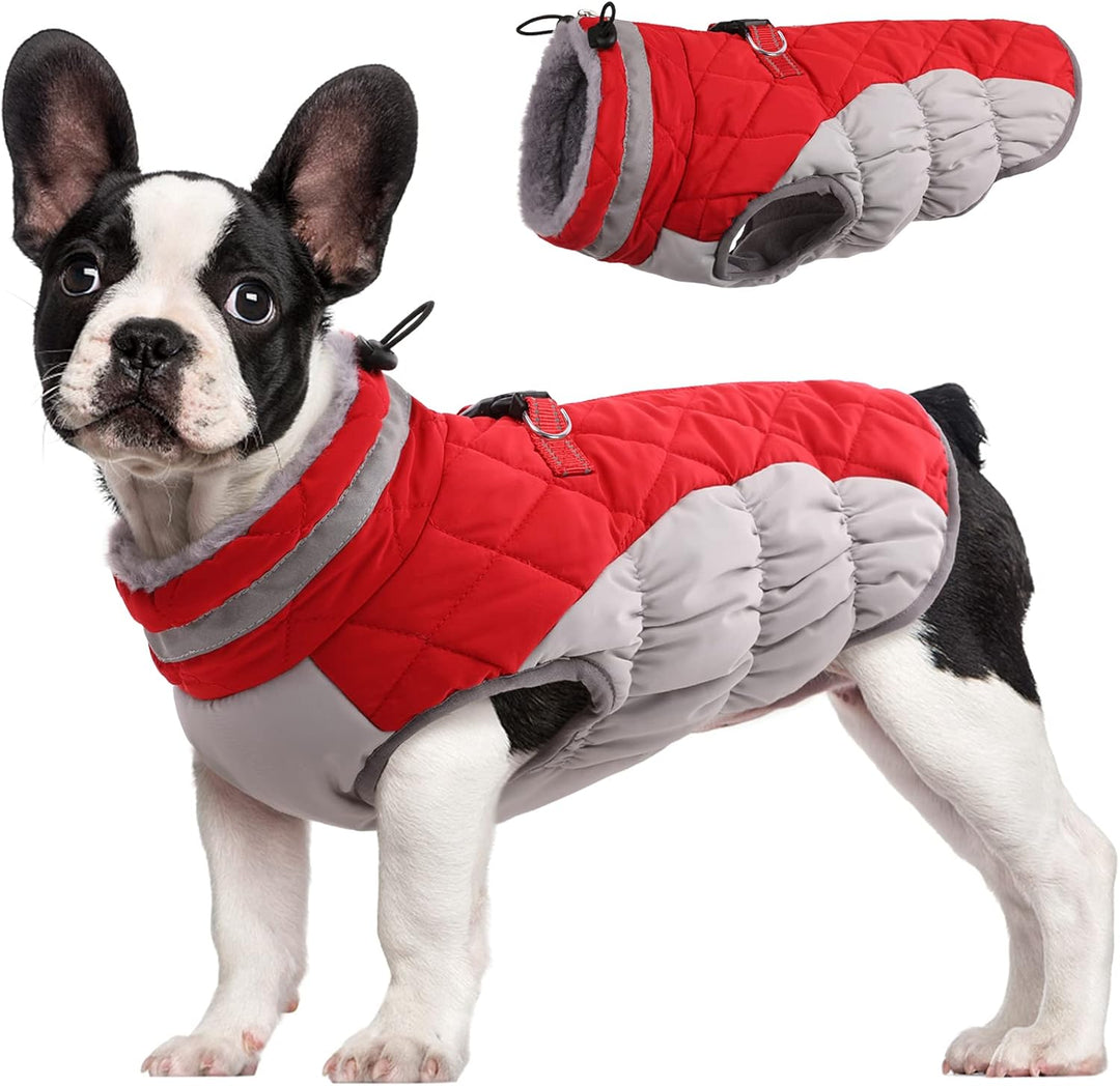 Azura | SafeWalk Winter Harness Jacket – Waterproof dog jacket with reflection and fleece lining
