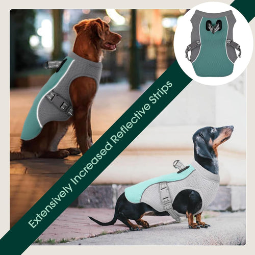 Azura | Summer Reflective Dog Cooling Vest & Quick-Release Harness