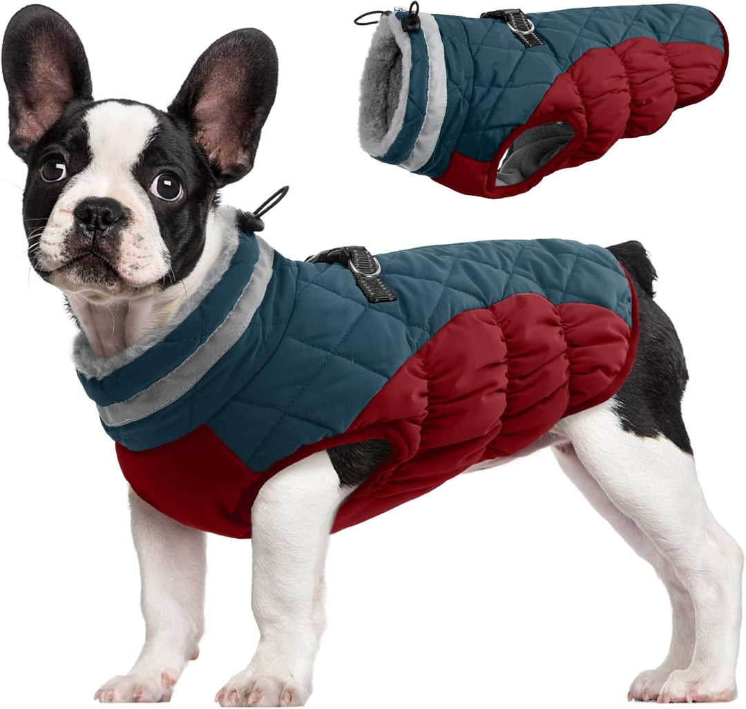 Azura | SafeWalk Winter Harness Jacket – Waterproof dog jacket with reflection and fleece lining
