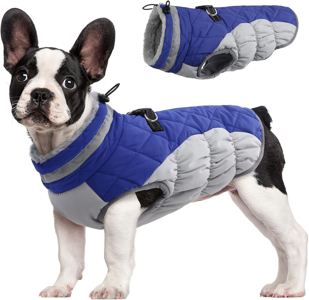Azura | SafeWalk Winter Harness Jacket – Waterproof dog jacket with reflection and fleece lining