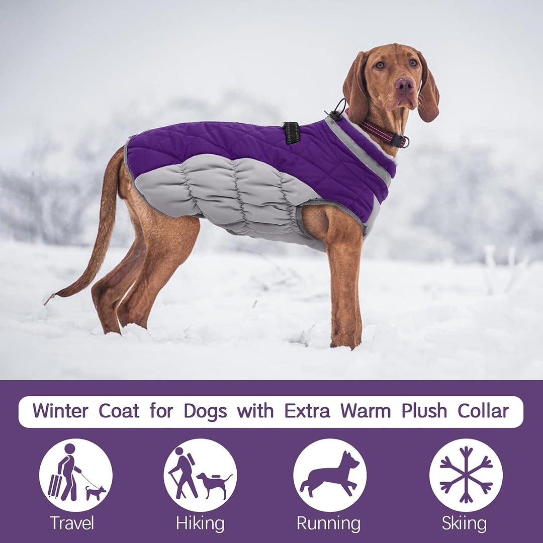 Azura | SafeWalk Winter Harness Jacket – Waterproof dog jacket with reflection and fleece lining