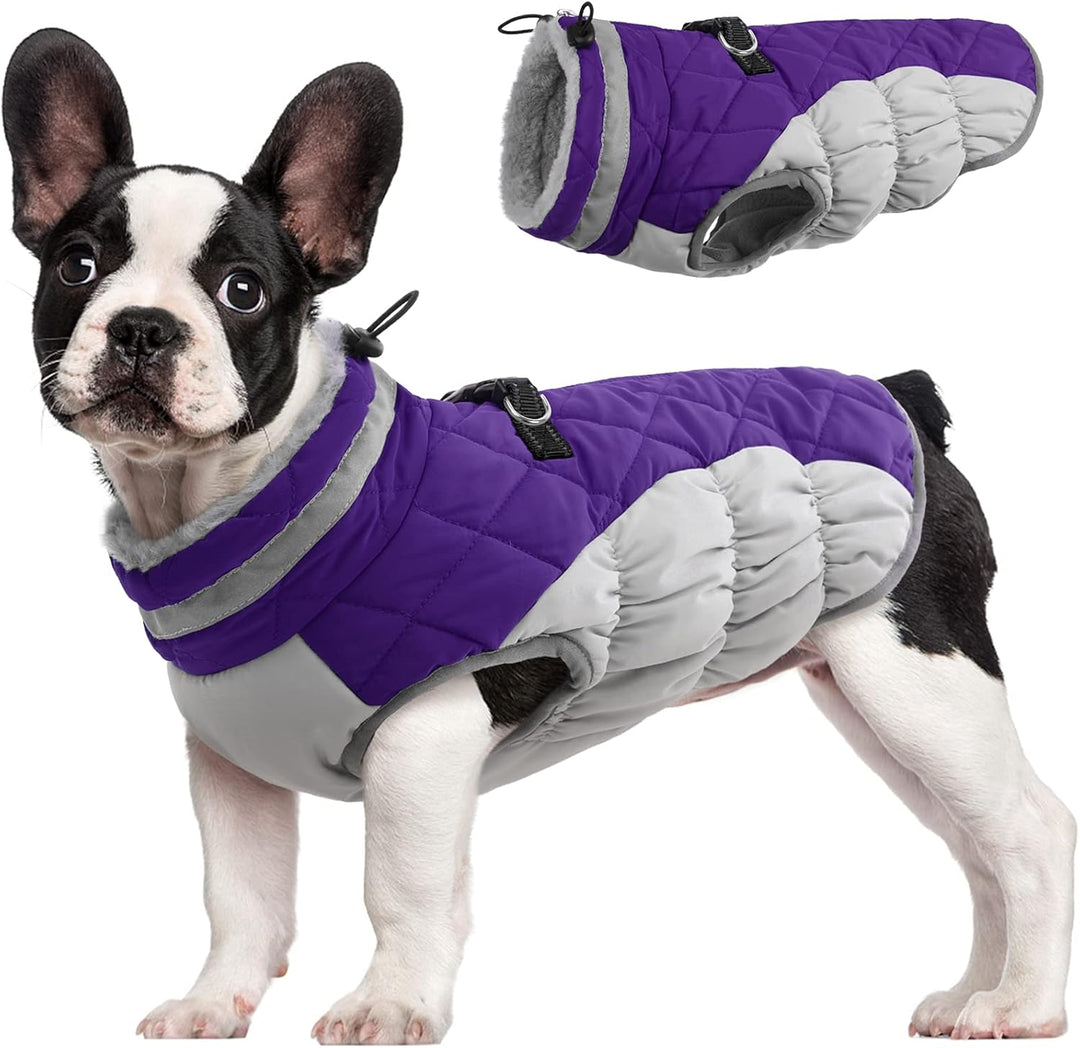 Azura | SafeWalk Winter Harness Jacket – Waterproof dog jacket with reflection and fleece lining