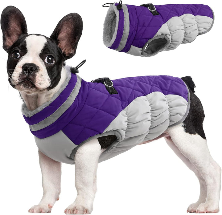 Azura | SafeWalk Winter Harness Jacket – Waterproof dog jacket with reflection and fleece lining