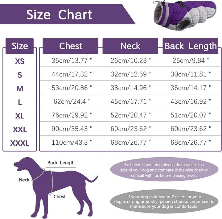 Azura | SafeWalk Winter Harness Jacket – Waterproof dog jacket with reflection and fleece lining