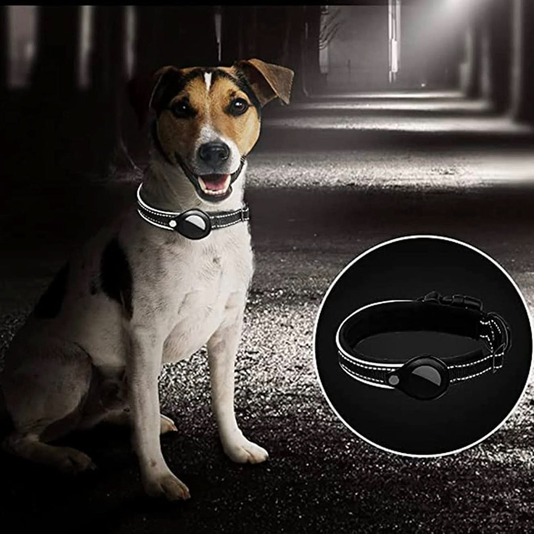 Azura | LEAZO - AirTag Dog Collar