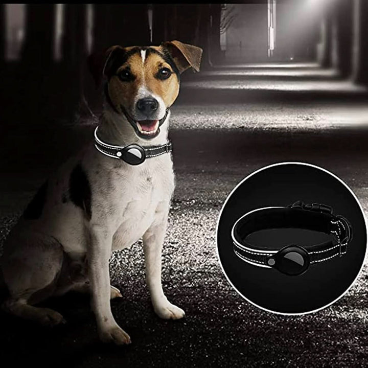 Azura | LEAZO - AirTag Dog Collar
