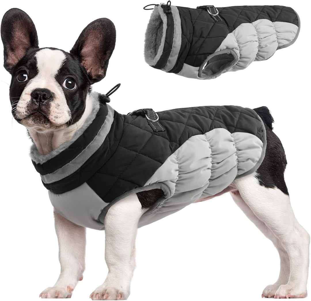 Azura | SafeWalk Winter Harness Jacket – Waterproof dog jacket with reflection and fleece lining
