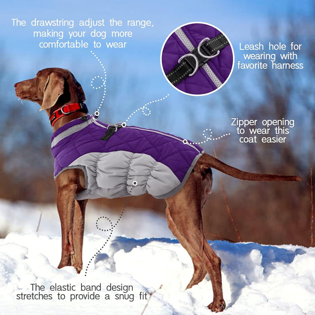 Azura | SafeWalk Winter Harness Jacket – Waterproof dog jacket with reflection and fleece lining