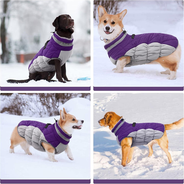 Azura | SafeWalk Winter Harness Jacket – Waterproof dog jacket with reflection and fleece lining