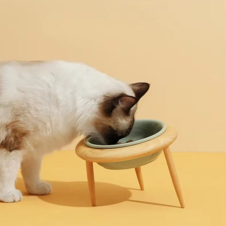 Azura | Misha Ceramic Elevated Cat Bowl with Wooden Stand