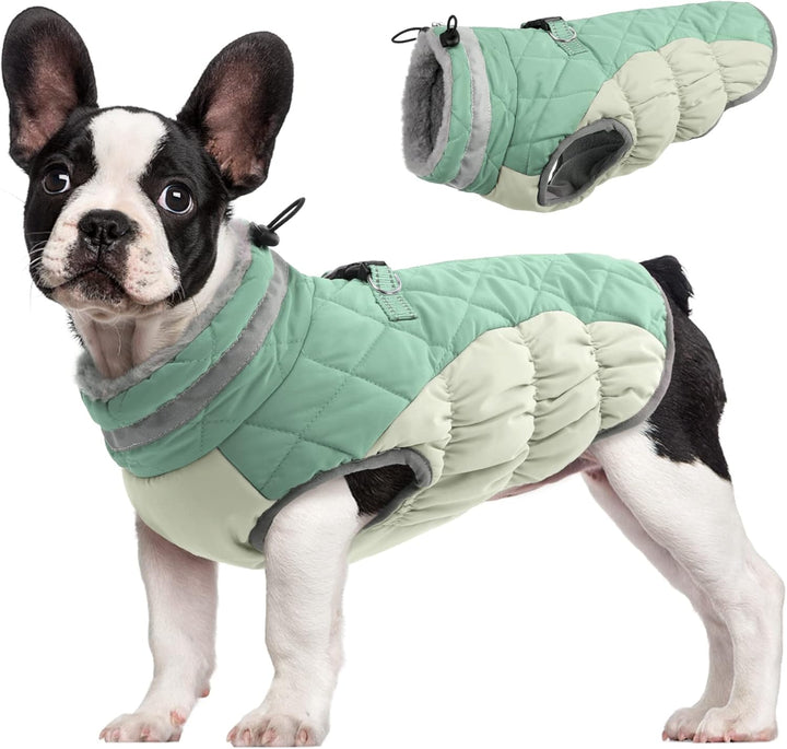 Azura | SafeWalk Winter Harness Jacket – Waterproof dog jacket with reflection and fleece lining