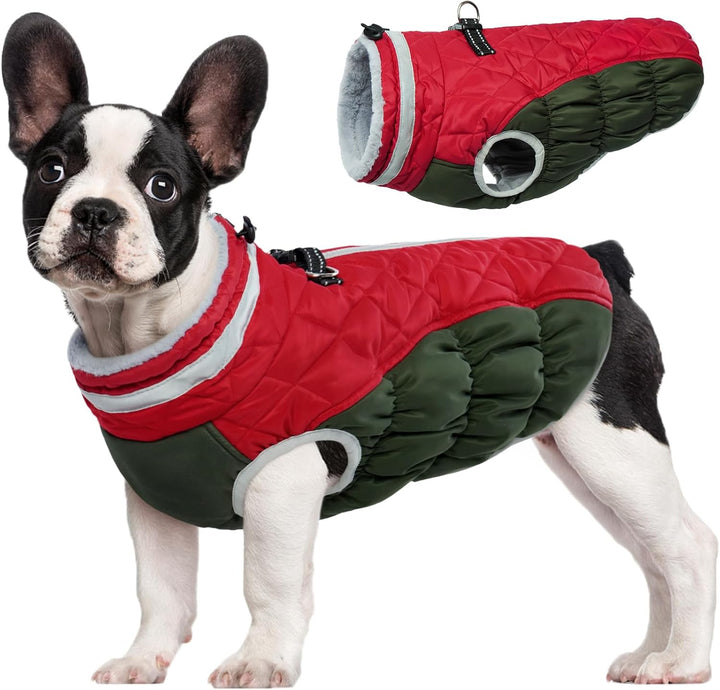 Azura | SafeWalk Winter Harness Jacket – Waterproof dog jacket with reflection and fleece lining