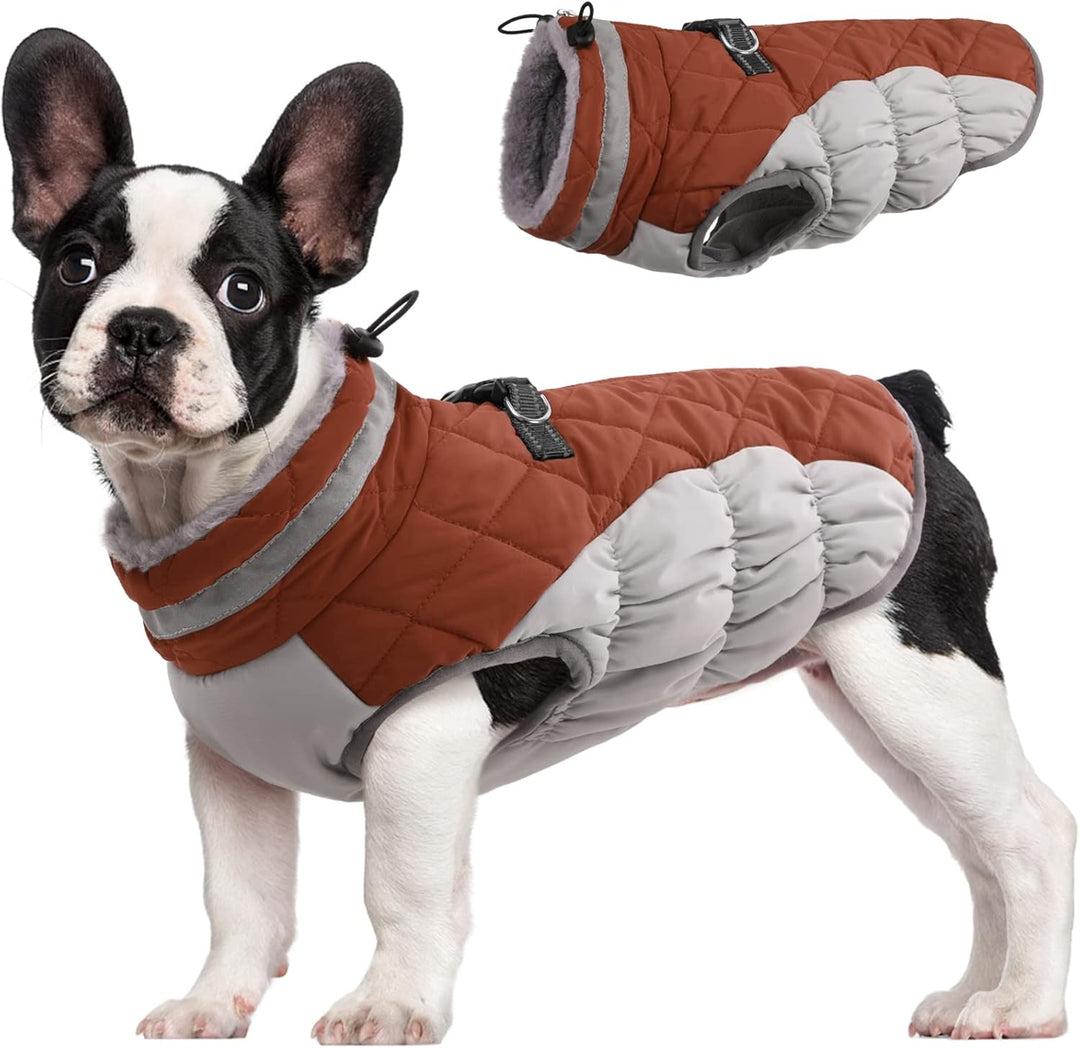 Azura | SafeWalk Winter Harness Jacket – Waterproof dog jacket with reflection and fleece lining