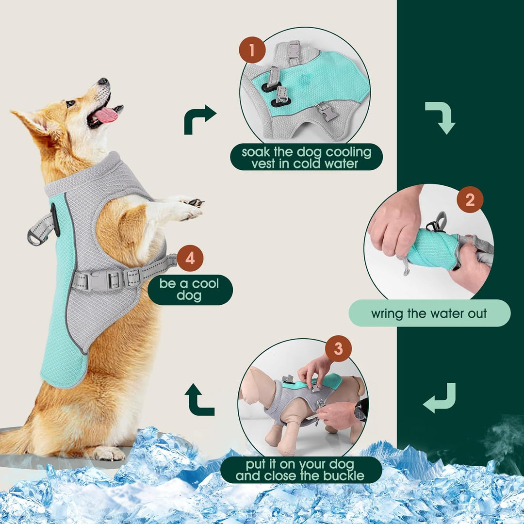 Azura | Summer Reflective Dog Cooling Vest & Quick-Release Harness