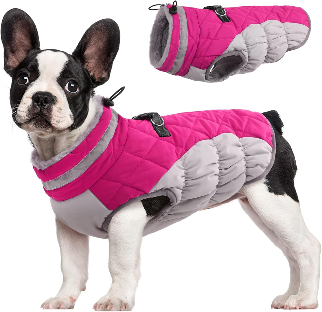 Azura | SafeWalk Winter Harness Jacket – Waterproof dog jacket with reflection and fleece lining