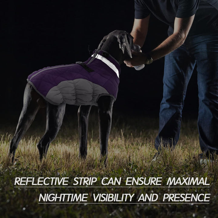 Azura | SafeWalk Winter Harness Jacket – Waterproof dog jacket with reflection and fleece lining