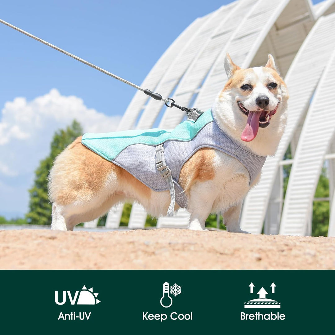 Azura | Summer Reflective Dog Cooling Vest & Quick-Release Harness