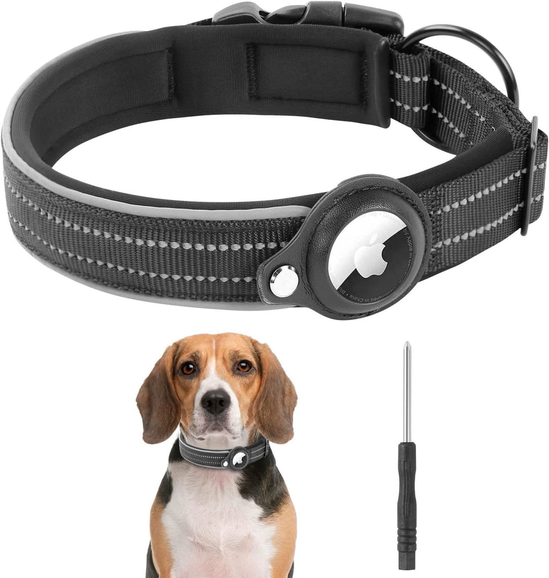 Azura | LEAZO - AirTag Dog Collar