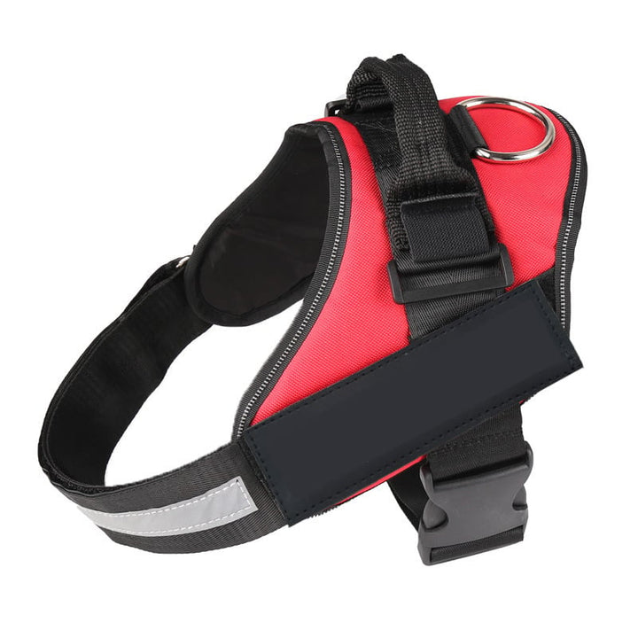 Azura | Anti Choke Dog Harness