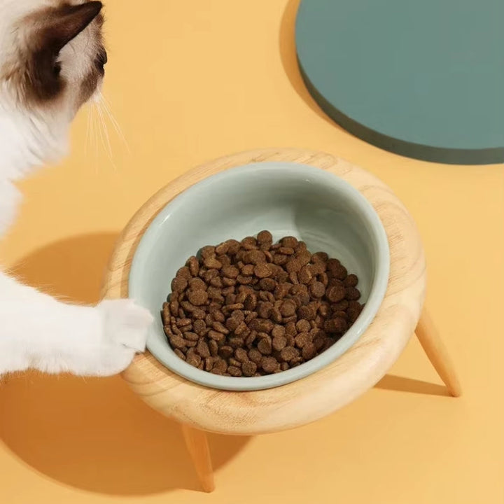 Azura | Misha Ceramic Elevated Cat Bowl with Wooden Stand