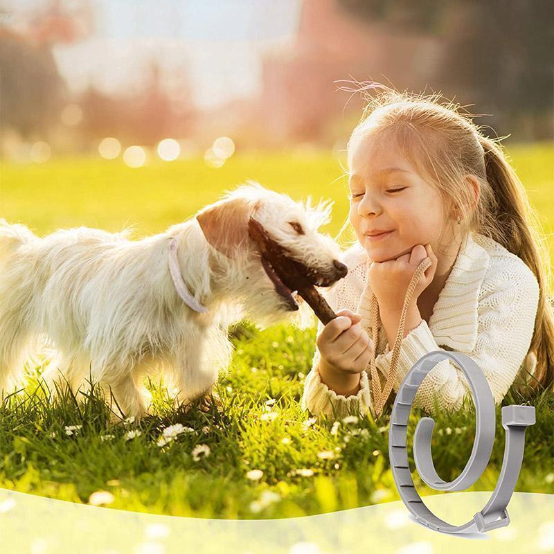 Azura | Adjustable Insect Defense Collar for Pets