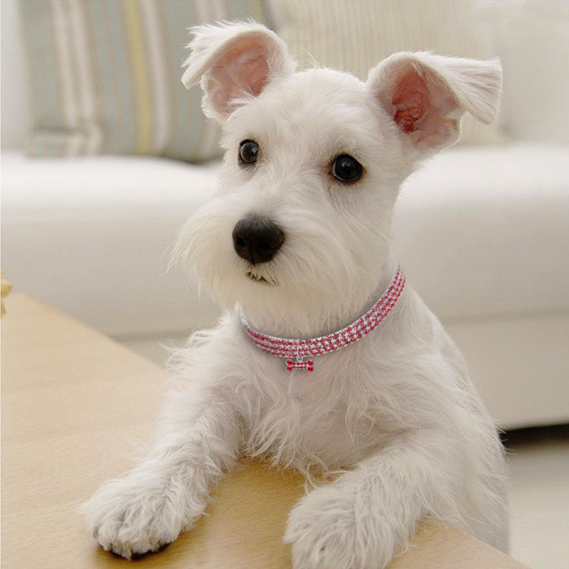 Azura | Sweet Crystal Dog Collar