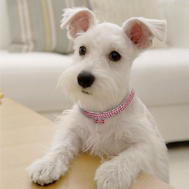 Azura | Sweet Crystal Dog Collar