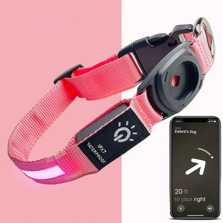 Azura | Flashing Dog Collars – Waterproof LED Light Up Dog Collar with USB Rechargeable Glow, Dog Collars Illuminated for Night Safety, All Sizes
