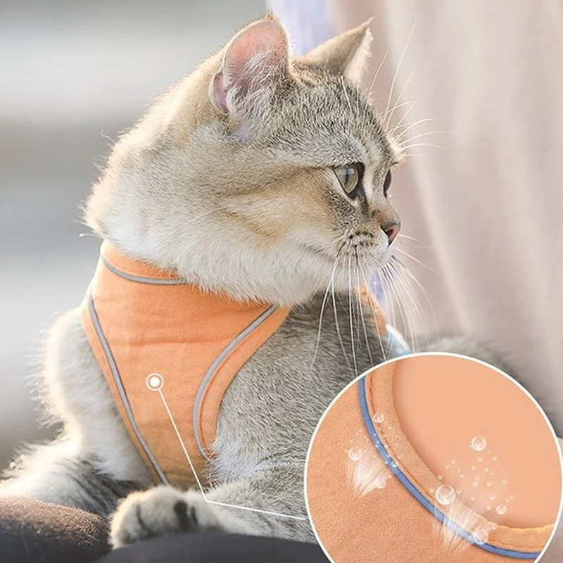 Azura | Cat Vest Harness and Leash Set