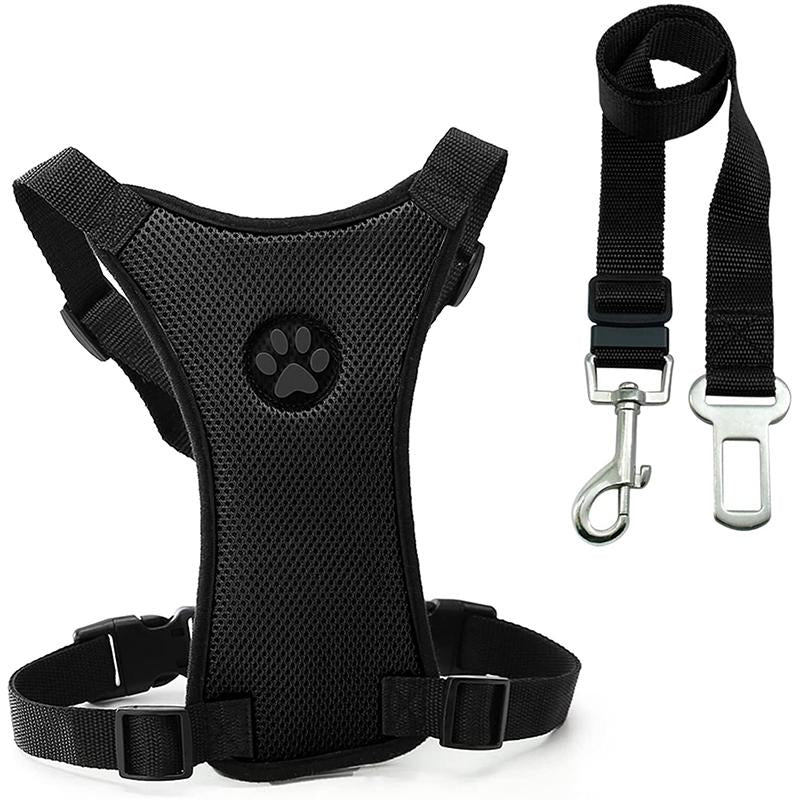 Azura | Dog Safety Harness Set