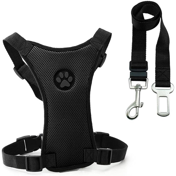 Azura | Dog Safety Harness Set