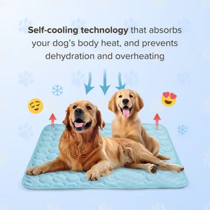 Azura | Cooling Mat for Dogs (4x More Effective)