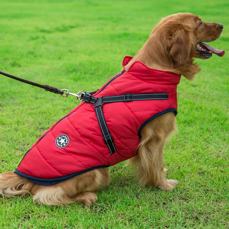Azura | Waterproof Winter Jacket With Built-In Harness