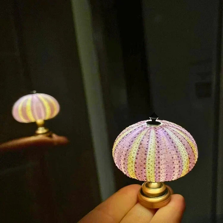 BowLift | LumiCraft – Unique DIY table lamp with natural sea shell for a cozy décor