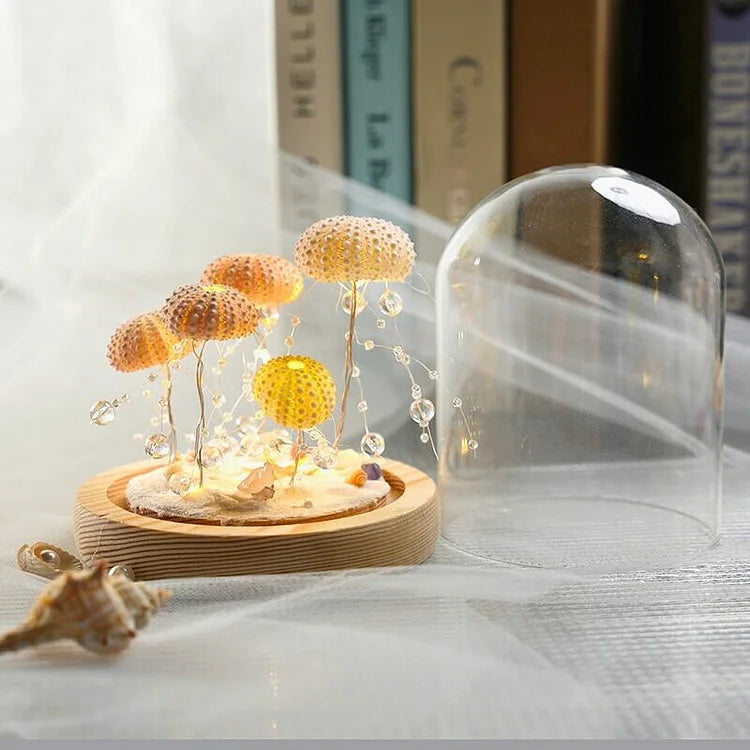 BowLift | LumiCraft – Unique DIY table lamp with natural sea shell for a cozy décor