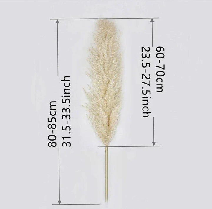 BowLift | 80 cm natural, real dried pampas grass bouquet (white / beige / gray) │ fluffy feather for modern boho home decor