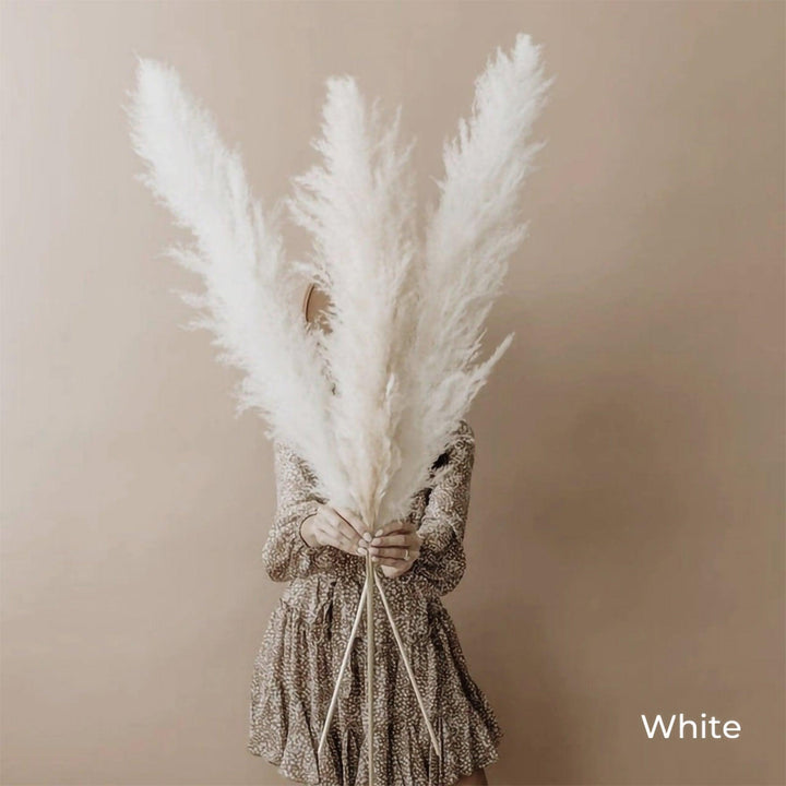 BowLift | 80 cm natural, real dried pampas grass bouquet (white / beige / gray) │ fluffy feather for modern boho home decor