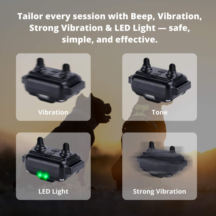 Azura | 800M Rechargeable Electric Dog Training Collar | Waterproof, Remote Control & Ideal for Effective Dog Training