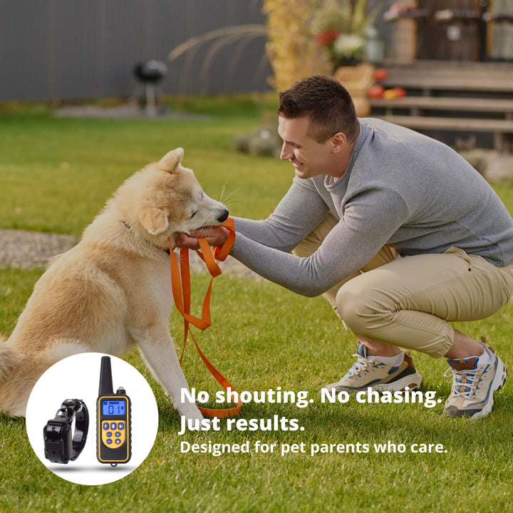 Azura | 800M Rechargeable Electric Dog Training Collar | Waterproof, Remote Control & Ideal for Effective Dog Training