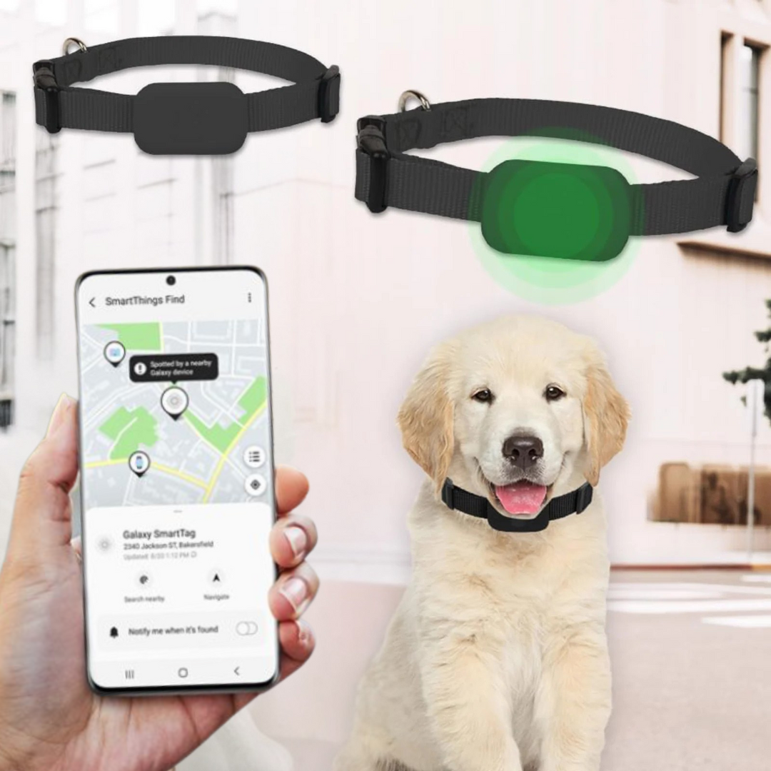 Azura | AnimalTracker Mini – Smart Dog and Cat Bluetooth Collar Tracker