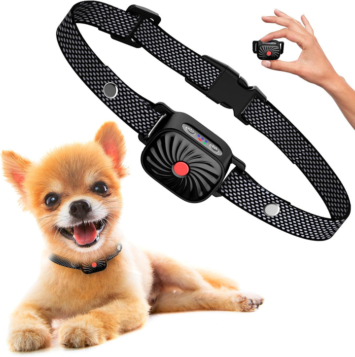Azura | Adjustable Anti Bark Collar for Dogs | Humane, Comfortable & Effective Bark Control Device for Small to Large Breeds