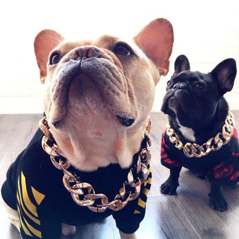 Azura | Pet Jewelry Thick Gold Chain Collar