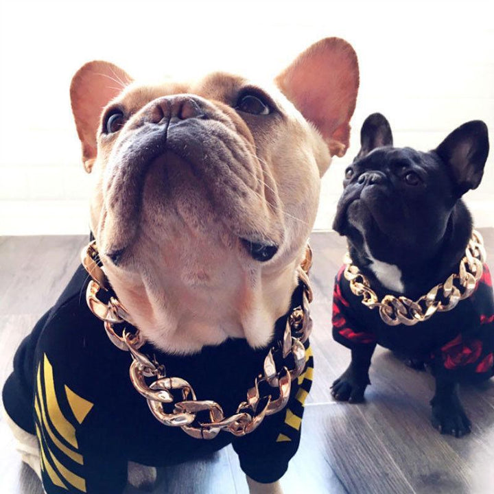 Azura | Pet Jewelry Thick Gold Chain Collar