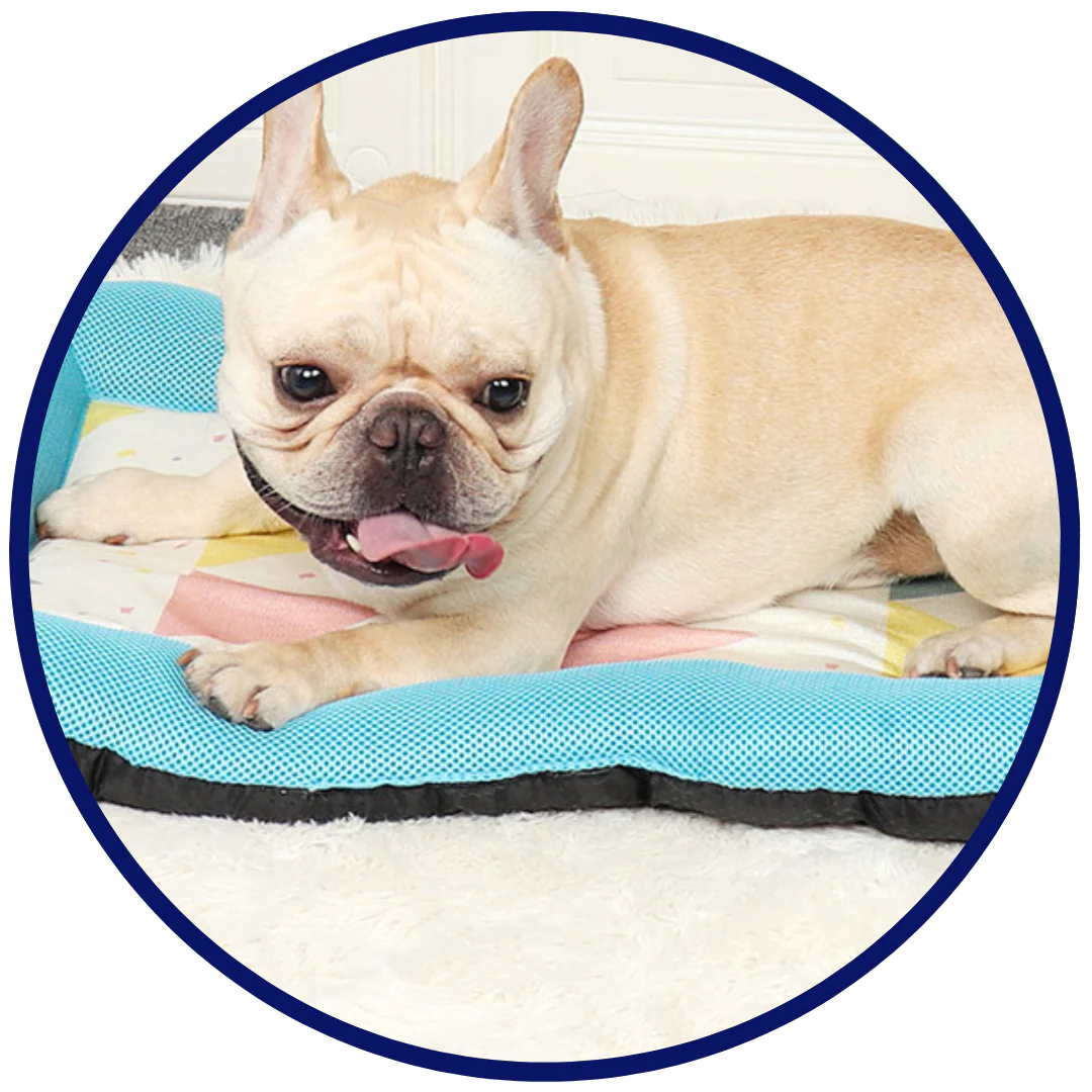 Azura | Pet Silk Cooling Mat