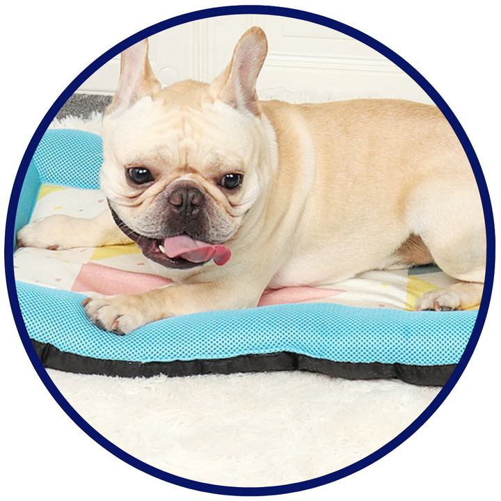 Pet Silk Cooling Mat | Azura