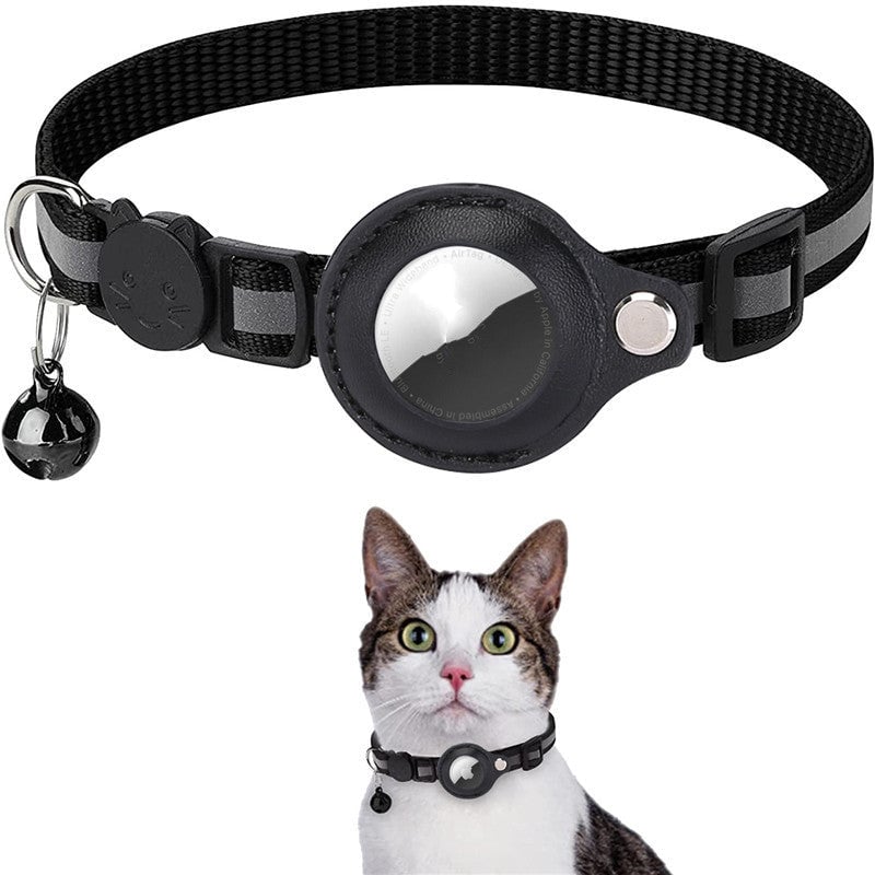 Azura | Stay Connected: pet locator collar