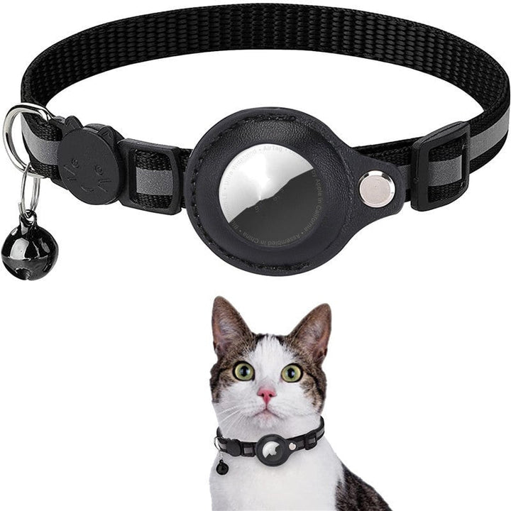 Azura | Stay Connected: pet locator collar