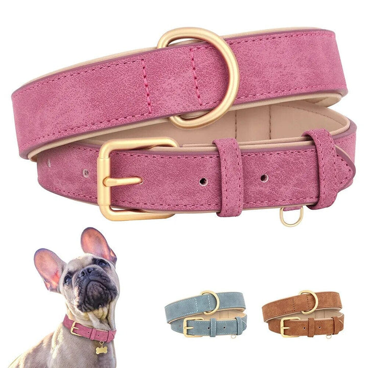 Azura Pup Collar