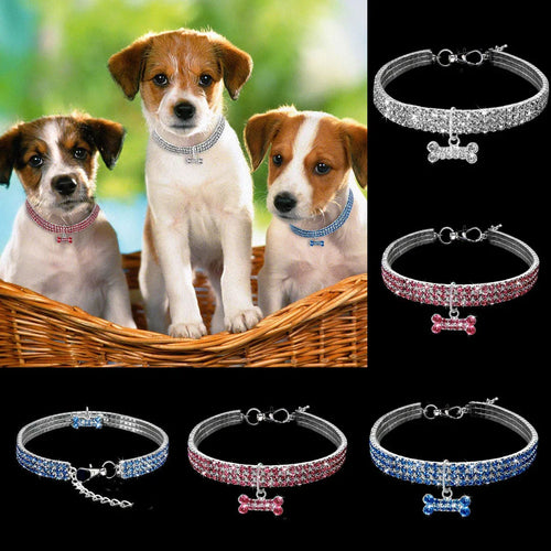 Glamorous Pet Collar – SparkleCollar Azura